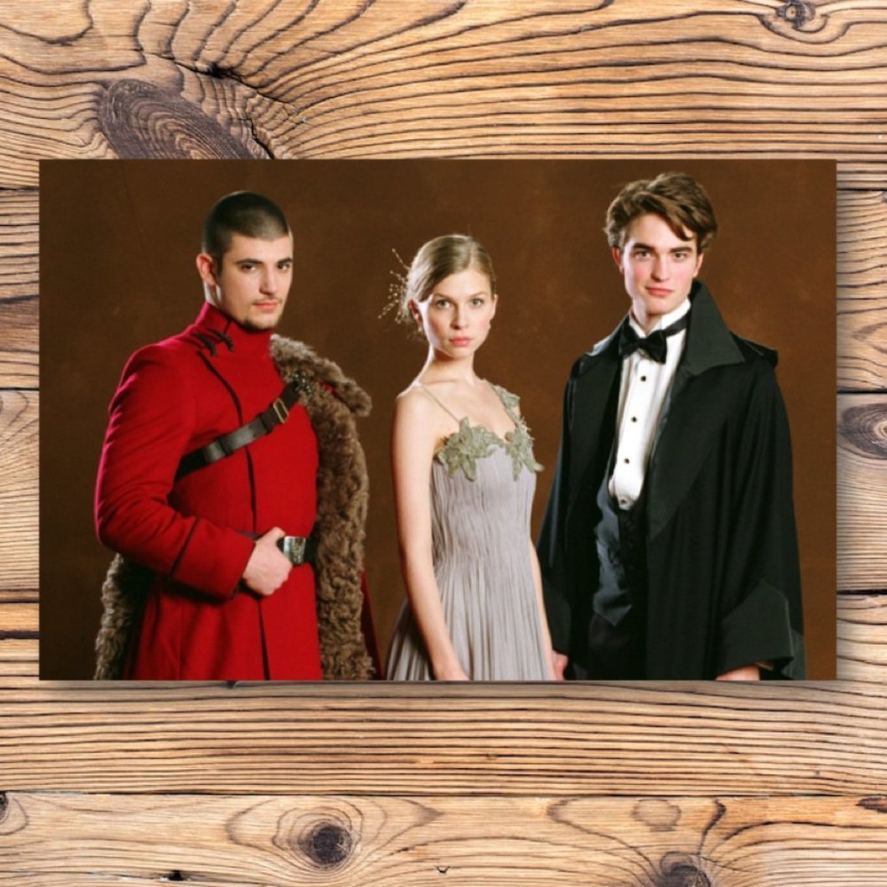 Harry Potter Triwizard Champions Cedric Diggory Viktor Krum Refrigerator Magnet